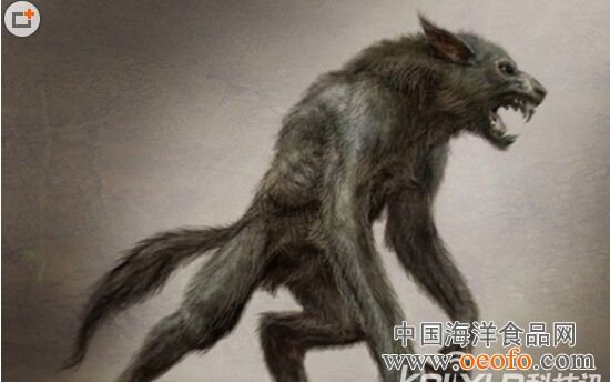 【ag亚娱官网】空腹可以吃荔枝吗 荔枝吃多了会怎样(图1) ag亚娱官网