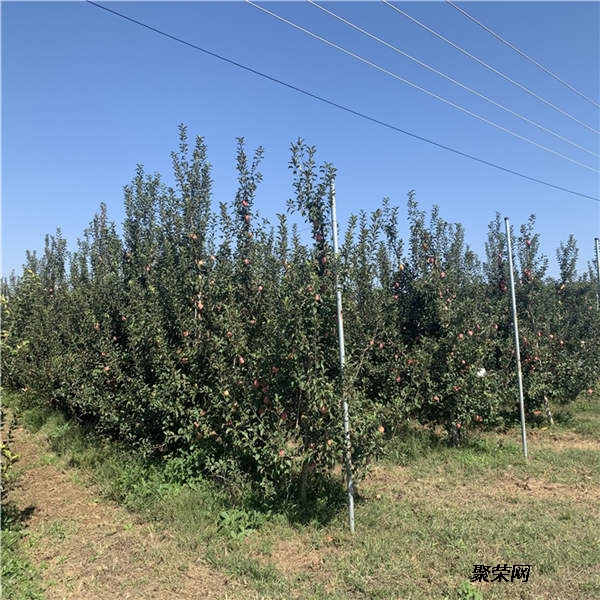 AG亚娱集团_见证成长相约未来兴盛小学举行2019届学生毕业典礼(图2) AG亚娱集团官方