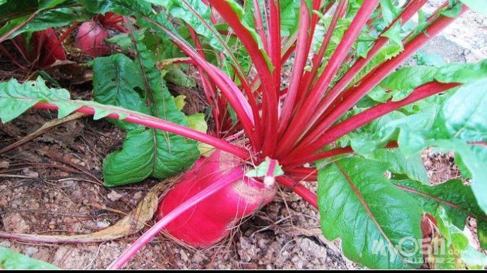 AG亚娱集团官方