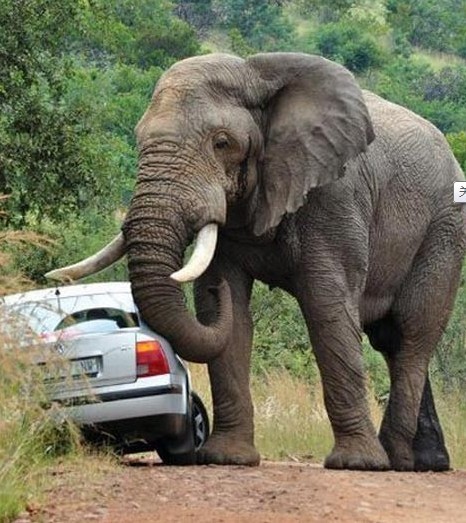 3C机器人市场爆发 “国产”能否弯道超车?【AG亚娱集团】(图2) AG亚娱集团