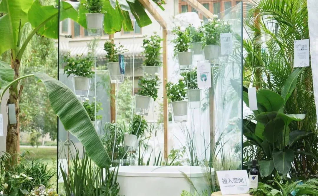 AG亚娱集团官方