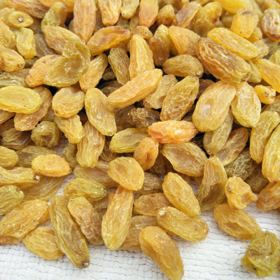 蒲江县教育系统专家领导到姚渡学校调研“AG亚娱集团官方”(图2) ag亚娱官网