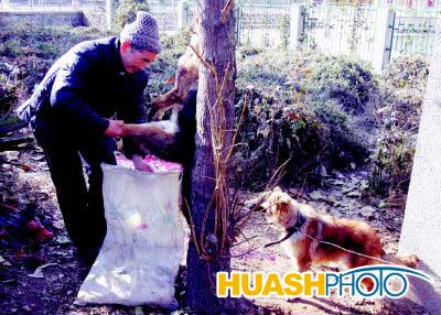 重阳节,成都市东城根街小学布置特殊作业关爱老人“ag亚娱官网”(图2) AG亚娱集团官方