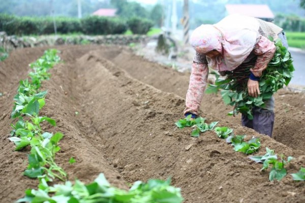 AG亚娱集团官方:成都幼儿园有钱也不好进 没钱难上难(图2) AG亚娱集团官方