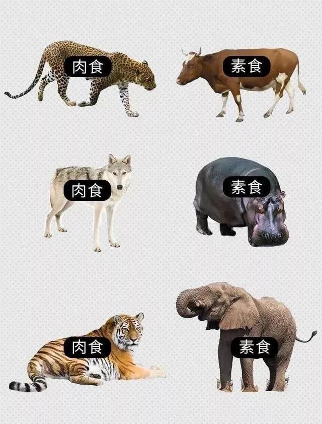 从评估开始 看绿盟科技如何为工业安全把关:ag亚娱官网(图2) ag亚娱官网