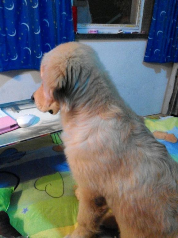 周杰伦投资KTV西安开业 卖萌自称小孩求红包-AG亚娱集团(图3) ag亚娱官网