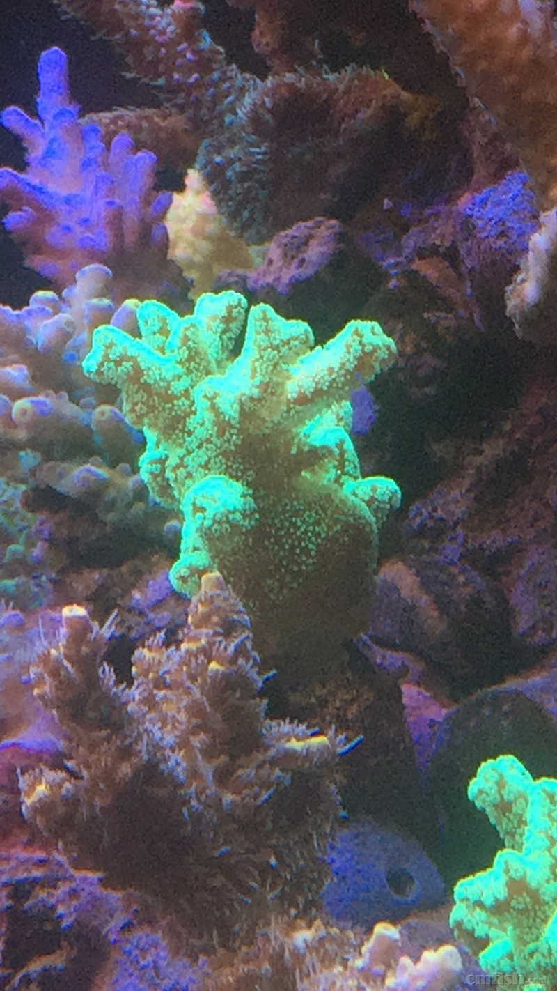 AG亚娱集团官方