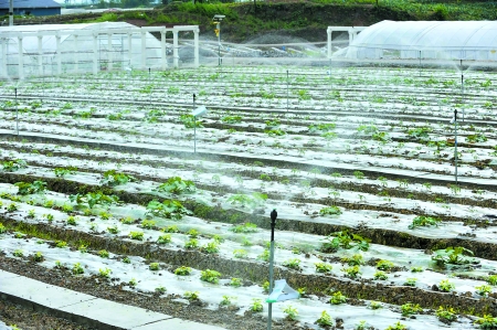 亲清大使添新丁行知小学举行新学期家长驻校日活动‘ag亚娱官网’(图2) AG亚娱集团