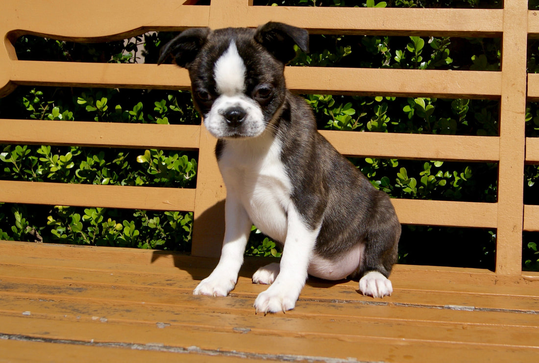 制造业或成中资对美并购新机遇【AG亚娱集团官方】(图4) ag亚娱官网