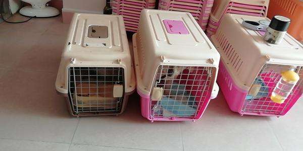 中国智能制造产业基金收购德国压力机公司全部股权“AG亚娱集团”(图2) AG亚娱集团官方