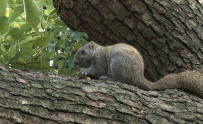 AG亚娱集团官方