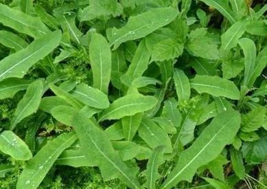 AG亚娱集团官方