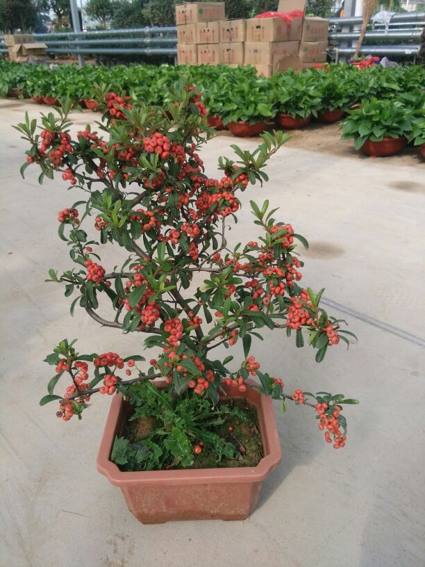 AG亚娱集团官方