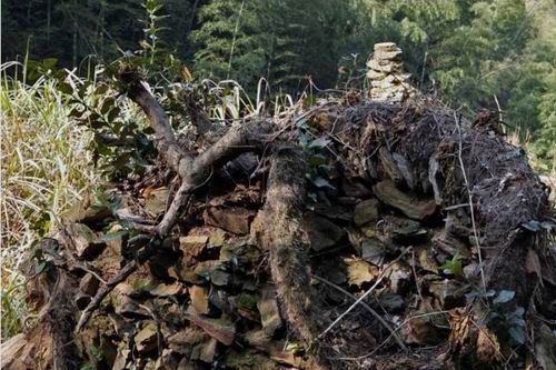 AG亚娱集团官方