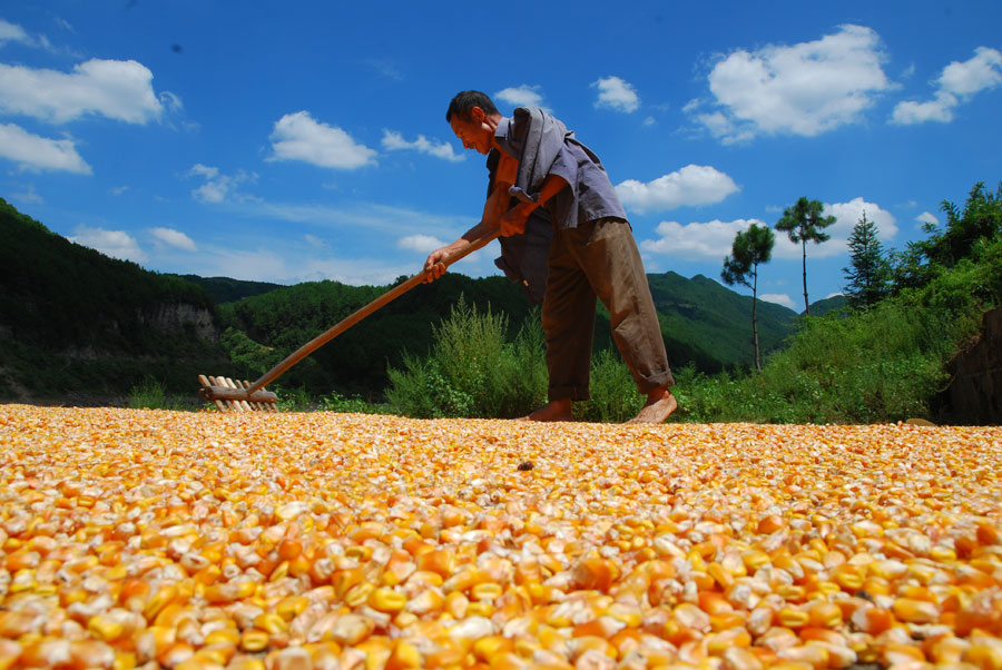 携手打造装备 制造业产业带-ag亚娱官网(图4) ag亚娱官网