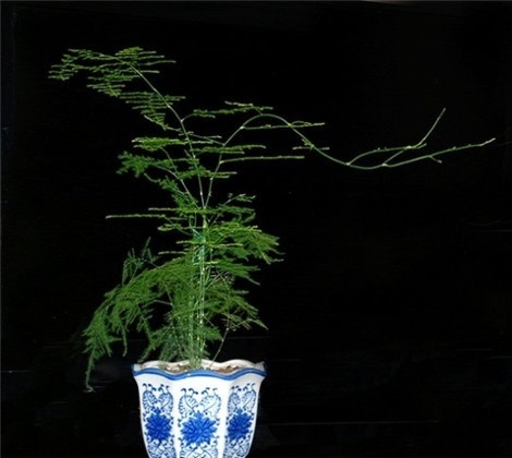 AG亚娱集团官方-荷花池小学有序分发教材大力支持“停课不停学”(图2) AG亚娱集团官方