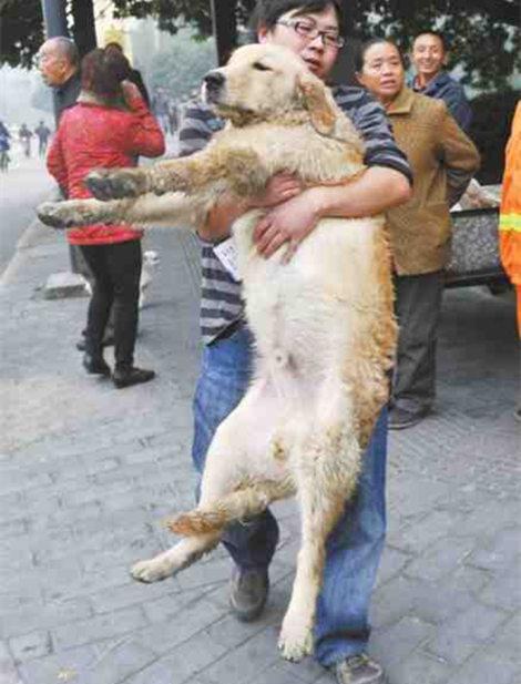 AG亚娱集团官方